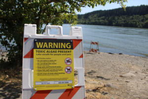 A sign posted on the shore of Lacamas Lake, July 7, 2020, warns of toxic algae in the lake. (Kelly Moyer/Post-Record files)