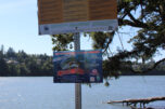 A sign posted near Lacamas Lake in Camas warns visitors of the presence of a toxic algal bloom on Thursday, Aug. 29, 2024. (Kelly Moyer/Post-Record files)