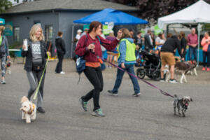 The West Columbia Gorge Humane Society will hold its annual Hike on the Dike event on Saturday, Sept. 21, 2024. (Contributed photo courtesy West Columbia Gorge Humane Society)