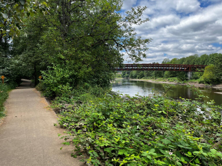 A pedestrian bridge crossing the Washougal River can be seen from the Washougal River Greenway trail in Camas, July 22, 2022.