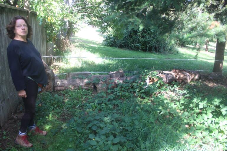 Washougal resident stands next to a heavy log and strips of plastic, which she alleges were placed by 45th Court residents as &ldquo;barricades&rdquo; at Mable Kerr Park in Washougal, on Oct. 10, 2024.