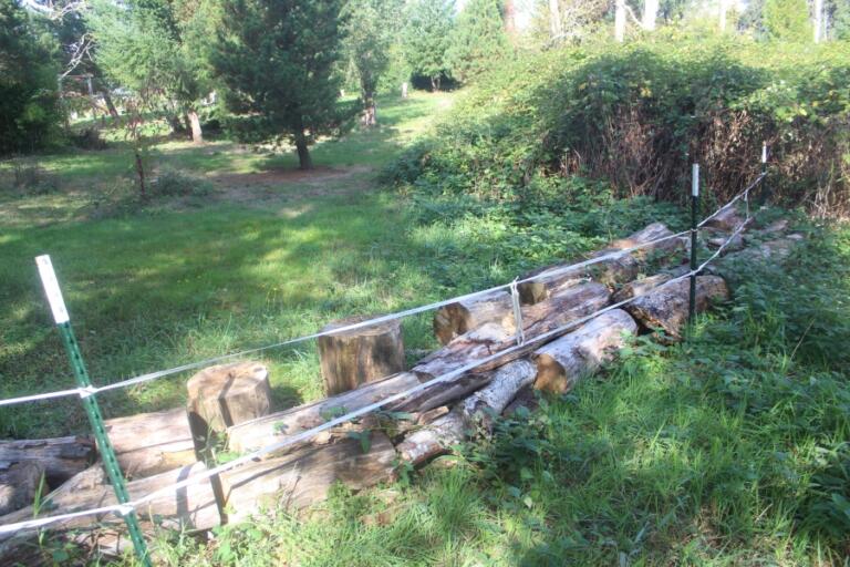 Plastic strips, erected on posts, and logs line the western perimeter of Mable Kerr Park in Washougal on Oct. 10, 2024.