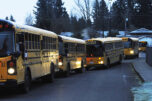 Washougal school buses wait to collect students in October 2024. (Doug Flanagan/Post-Record)