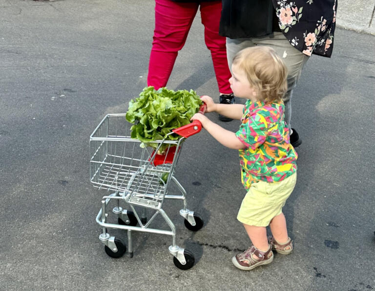 A youngster pushes a tiny cart at the Camas Farmer's Market in 2024. A Camas-Washougal Community Chest grant supports the market&rsquo;s &ldquo;Produce Pals&rdquo; program for children.